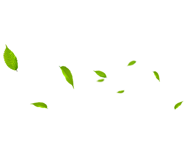 MHL Power Dongfang Coiler Co., Ltd. (MHDB)