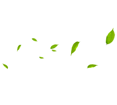 MHL Power Dongfang Coiler Co., Ltd. (MHDB)