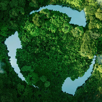 MHL Power Dongfang Coiler Co., Ltd. (MHDB)